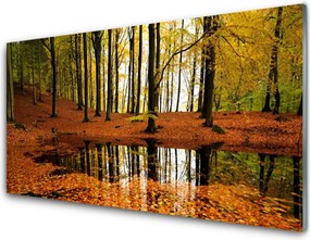 Panel Kuchenny Głęboka Zieleń Lasu