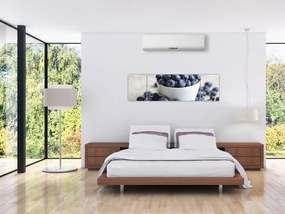Obraz - Jagody (170x50 cm)