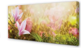 Duży obraz na płótnie Drzewa Magnolii w Słońcu