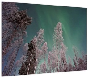 Obraz zorzy polarnej nad zamarzniętymi drzewami (70x50 cm)
