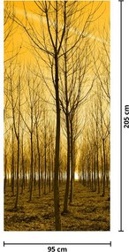 Fototapeta na drzwi - Plantacja drzew (95x205cm)
