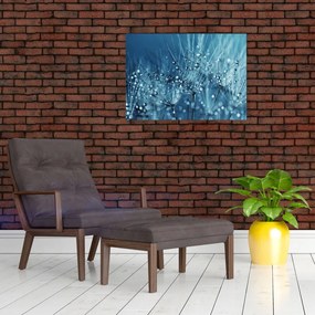 Obraz na szkle - Krople rosy (70x50 cm)
