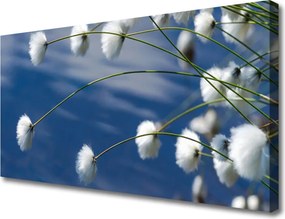 Obraz canvas Letnia Natura w Kwiatach