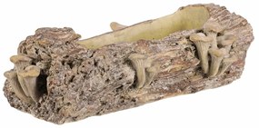 Opakowanie betonowe - skrzynka, drewno z grzybami,41 x 19 x 13 cm, brązowe