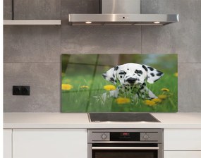 Szklany Panel Łąka pies