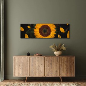 Obraz  - Słonecznik i płatki kwiatów (170x50 cm)