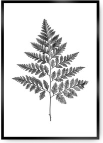 Plakat Fern Grey