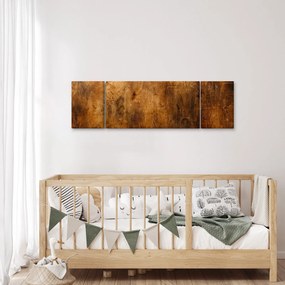 Obraz - Detal drewna (170x50 cm)