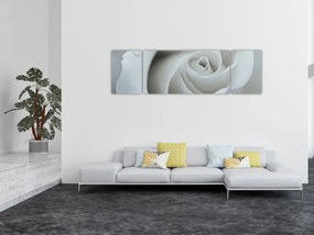 Obraz - Biała róża (170x50 cm)