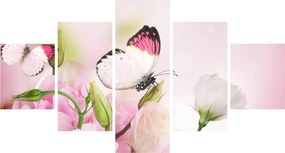 Obraz - Motyl (125x70 cm)