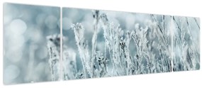Obraz - Magia zimy (170x50 cm)