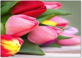 Foto obraz szklany Kolorowe tulipany