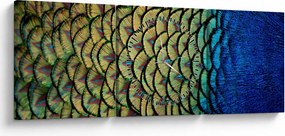 Obraz - Pawie pióra (z zegarem) (90x30 cm)