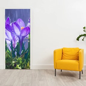 Fototapeta na drzwi - Kwiaty w deszczu (95x205cm)
