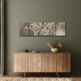 Obraz - Roślina w mrozie (170x50 cm)