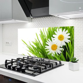 Szkło Dekoracyjne do Kuchni Urok Skromnej Stokrotki