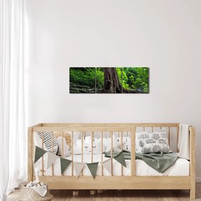 Obraz - Stare drzewo z korzeniami (z zegarem) (90x30 cm)