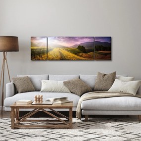 Obraz krajobrazu (170x50 cm)