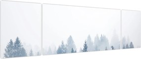 Obraz - Mglisty las (170x50 cm)
