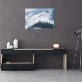 Obraz - Drzewa we mgle (70x50 cm)