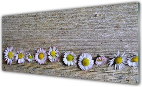 Panel Szklany Śnieżnobiała Stokrotka w Trawie