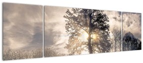 Obraz drzewa we mgle (170x50 cm)