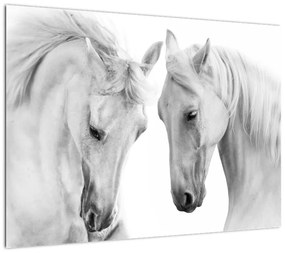 Obraz na szkle białych koni (70x50 cm)