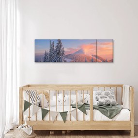 Obraz - Zimowy krajobraz (170x50 cm)