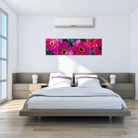 Obraz - kwiaty (170x50 cm)