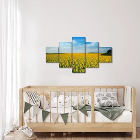 Obraz - ciąg słoneczników (125x70 cm)