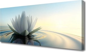 Obraz canvas na ścianę Spokój Lilii Wodnej