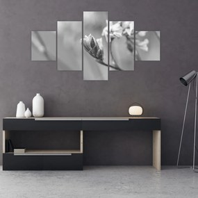 Obraz - Kwitnący kwiat (125x70 cm)