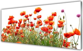 Szkło Dekoracyjne do Kuchni Maki W Porannym Słońcu