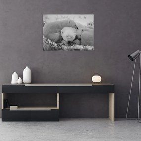 Obraz - Niedźwiadki polarne, czarno - biały (70x50 cm)
