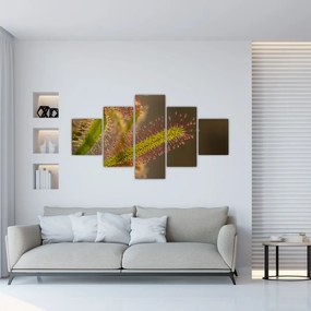 Obraz rośliny (125x70 cm)