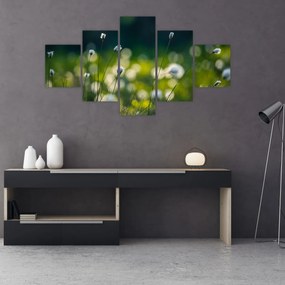 Obraz - Trawa (125x70 cm)