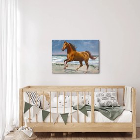 Obraz konia na plaży (70x50 cm)