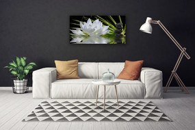 Obraz drukowany na płótnie Harmonijne Lilie na Stawie