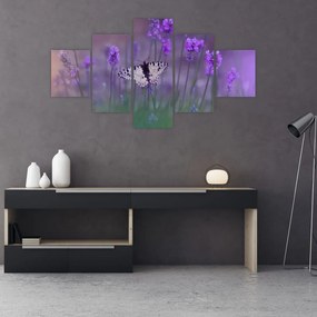 Obraz - Motyl w lawendach (125x70 cm)