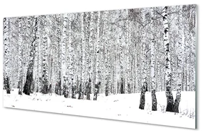 Szklany Panel Drzewa zima śnieg brzozy