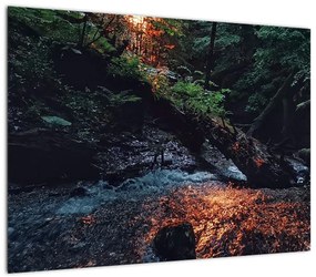 Obraz na szkle - górska rzeka (70x50 cm)