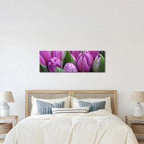 Obraz - kwiaty tulipanów (z zegarem) (90x30 cm)