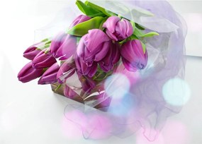Obraz na szkle - bukiet tulipanów (70x50 cm)