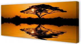 Obraz drukowany na płótnie Drzewo o Zachodzie Słońca