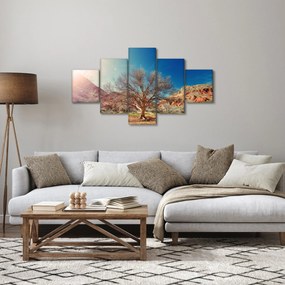Obraz drzewa na pustyni (125x70 cm)