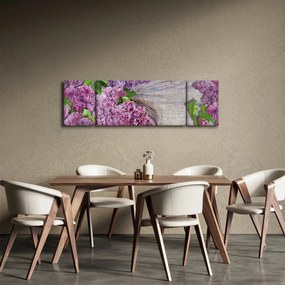 Obraz - Bez (170x50 cm)