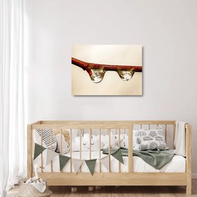 Obraz na szkle - krople na gałęzi (70x50 cm)