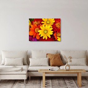 Obraz na szkle kwiatów (70x50 cm)