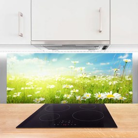 Panel Kuchenny Polana Pełna Stokrotek