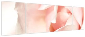 Obraz - Róża (170x50 cm)
